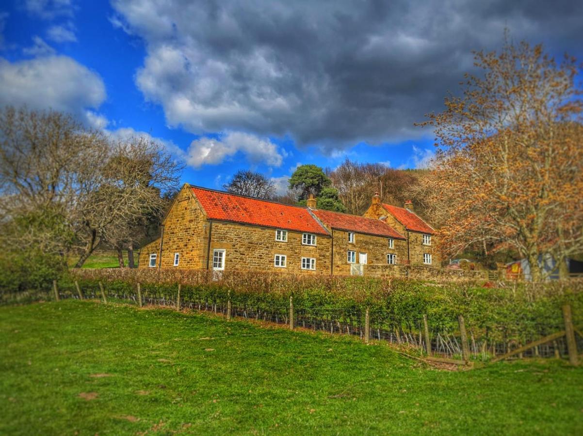 Park House Ingleby Arncliffe Exterior foto